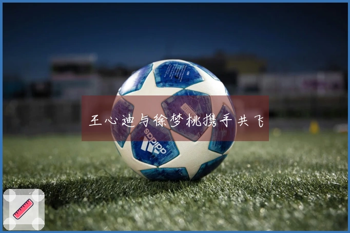 王心迪与徐梦桃携手共飞